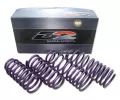 General Representation Acura RSX D2 Racing Pro Lowering Springs