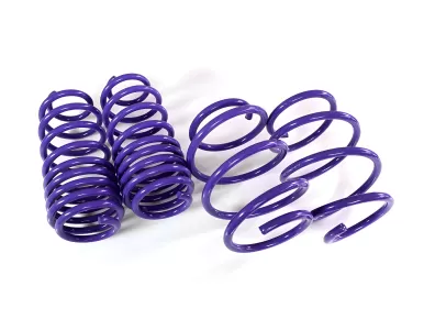 2017 Honda Civic D2 Racing Pro Lowering Springs