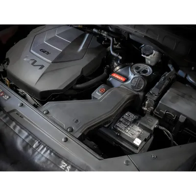 Kia Telluride - 2020 to 2025 - SUV [All] (Black) (Uses Pro Dry S Filter)