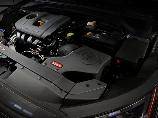 Hyundai Veloster - 2019 to 2021 - Hatchback [2.0, 2.0 Premium] (Black) (Uses Pro Dry S Filter)