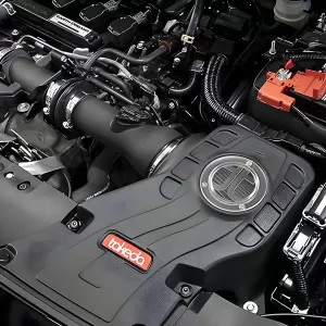 Honda Accord - 2018 to 2022 - Sedan [EX, EXL 1.5L, LX, Sport 1.5L, Sport Special Ed., Touring 1.5L] (Black) (Uses Pro Dry S Filter)
