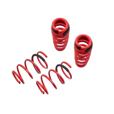 BMW 3 Series - 2009 to 2011 - 2 Door Coupe [328i xDrive, 335i xDrive] _or_ 4 Door Sedan [328i xDrive, 335i xDrive] (Euro Springs Version)