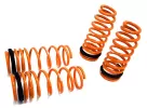 General Representation 2007 Lexus GS 350 Megan Racing Lowering Springs
