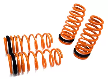 General Representation 2019 Lexus GS 350 Megan Racing Lowering Springs