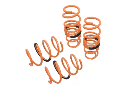 2017 Honda Civic Megan Racing Lowering Springs