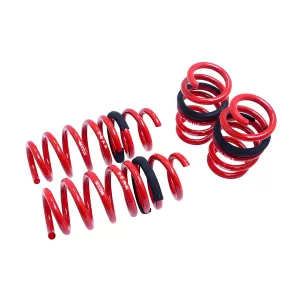 Audi R8 - 2008 to 2015 - All [All] (Euro Springs Version)
