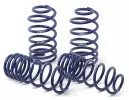 General Representation Audi RS3 H&R Lowering Springs