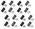 General Representation Nissan Armada Brian Crower High Performance Valve Springs and Retainers