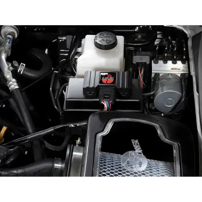 Infiniti QX80 - 2025 to 2026 - SUV [All]