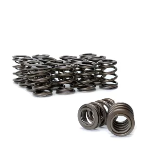 2000 Honda Civic Skunk2 Pro Series Valve Springs