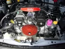 Subaru BRZ - 2013 to 2020 - Coupe [All]