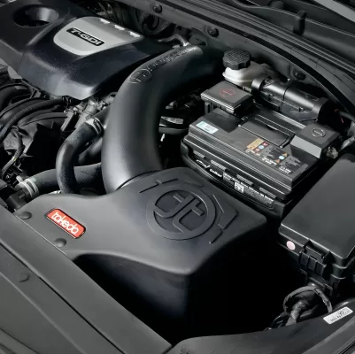 Hyundai Elantra - 2017 to 2020 - Sedan [Sport] (Black) (Uses Pro 5R Oiled Filter)