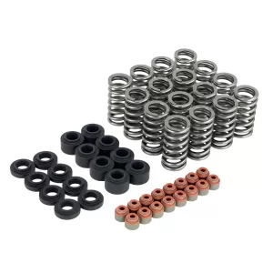 2020 Honda Civic Skunk2 Ultra Series Valve Springs