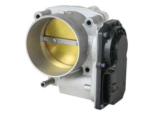 Toyota Tundra - 2005 to 2006 - 2 Door Reg Cab [Base 4.0L RWD] _or_ 4 Door Acs Cab [SR5 4.0L RWD] (76mm)