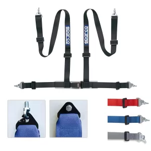 General Representation 2024 Lexus RCF Sparco Tuning Harness