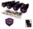General Representation Lexus IS 300 D2 Racing RS Full Coilovers
